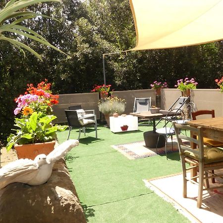 Helichrysum Bed & Breakfast Vinci Luaran gambar