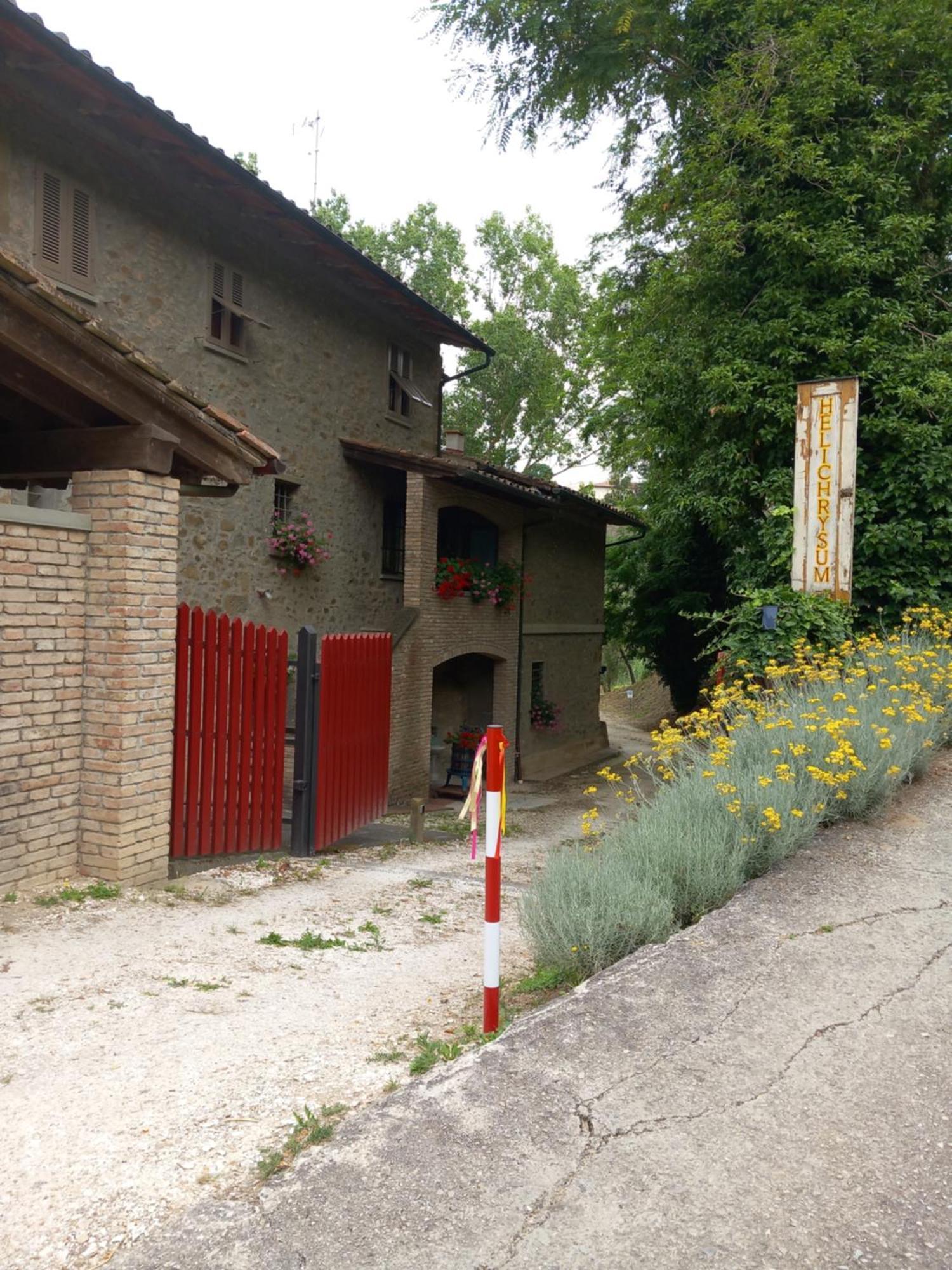 Helichrysum Bed & Breakfast Vinci Luaran gambar