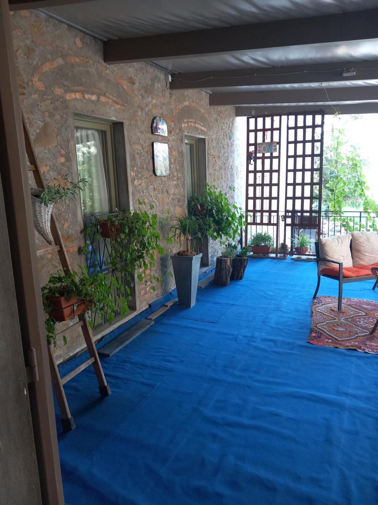 Helichrysum Bed & Breakfast Vinci Luaran gambar