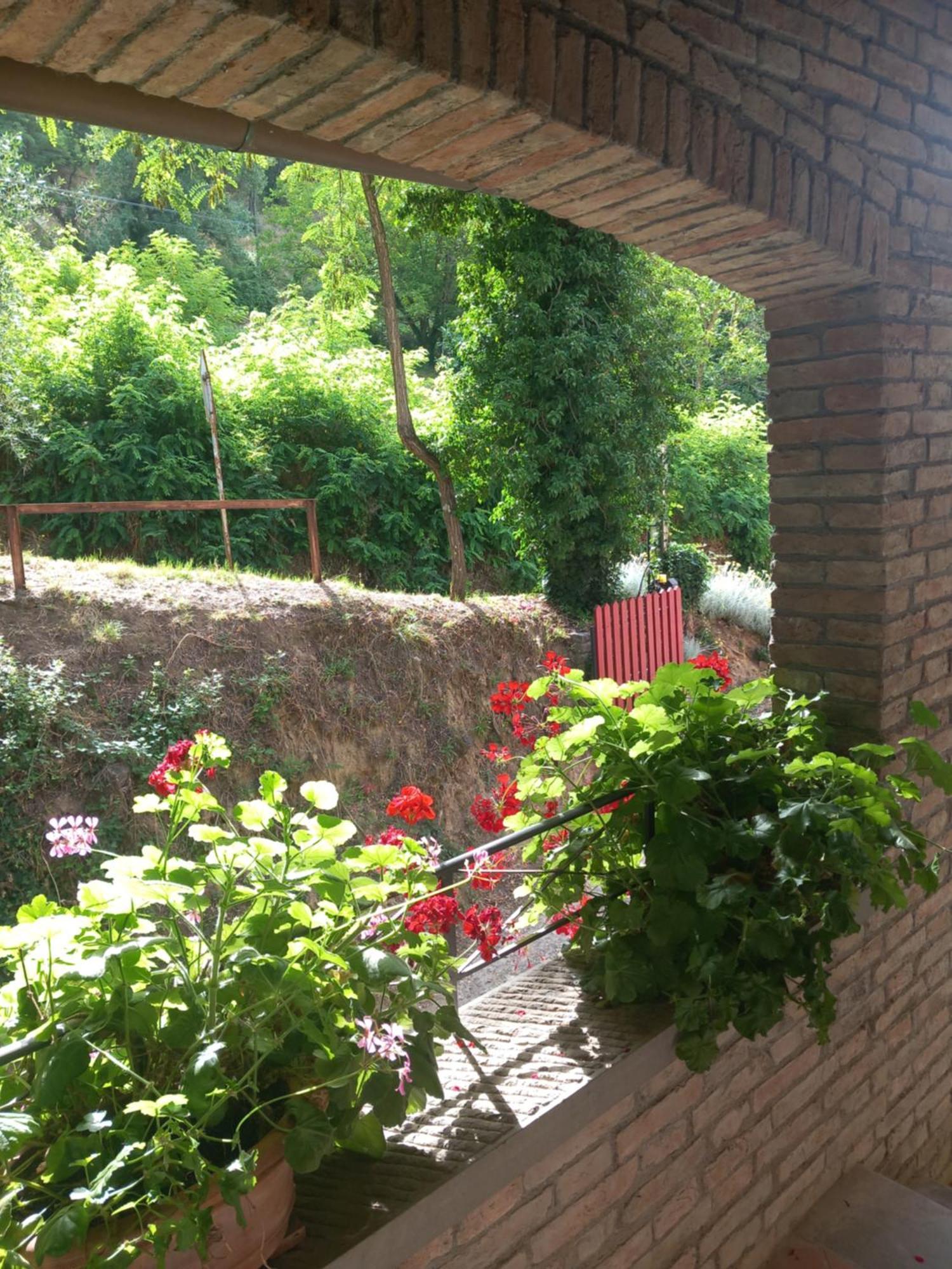 Helichrysum Bed & Breakfast Vinci Luaran gambar