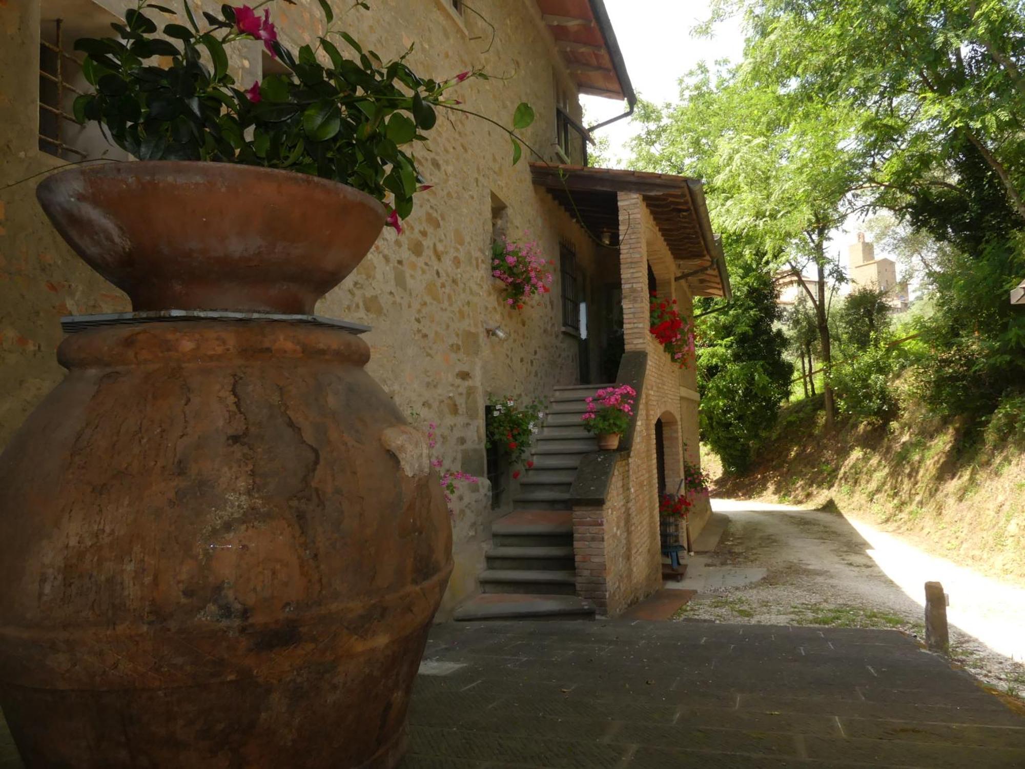 Helichrysum Bed & Breakfast Vinci Luaran gambar