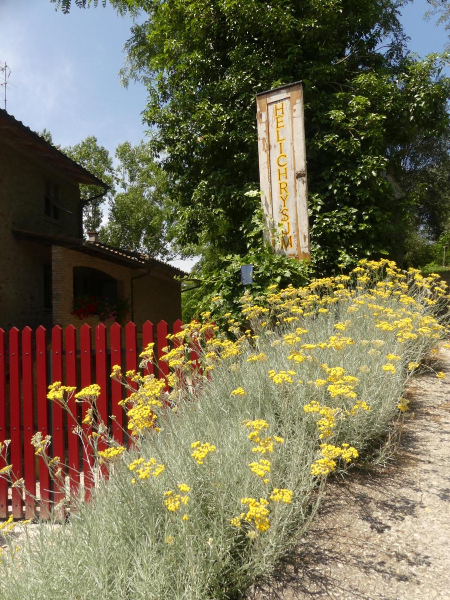 Helichrysum Bed & Breakfast Vinci Luaran gambar